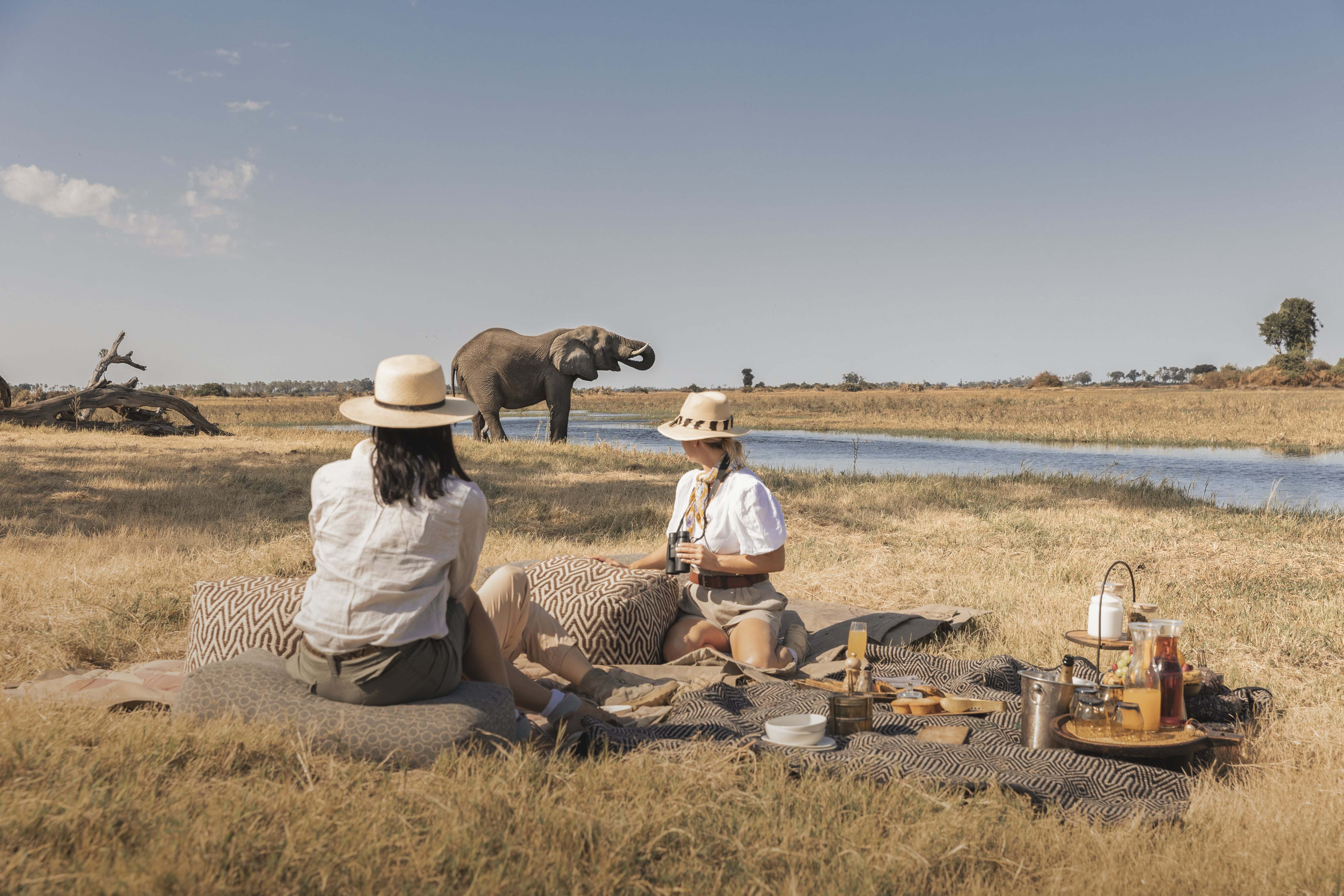 Botswana Luxury Safari Picnic Lunch